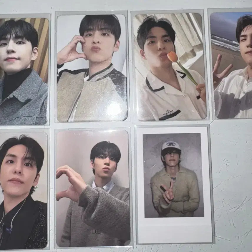 [BUNJANG] DAY6 Wonpil Bundle Set Photocard / 무료배송 일괄 데이식스 원필 포카