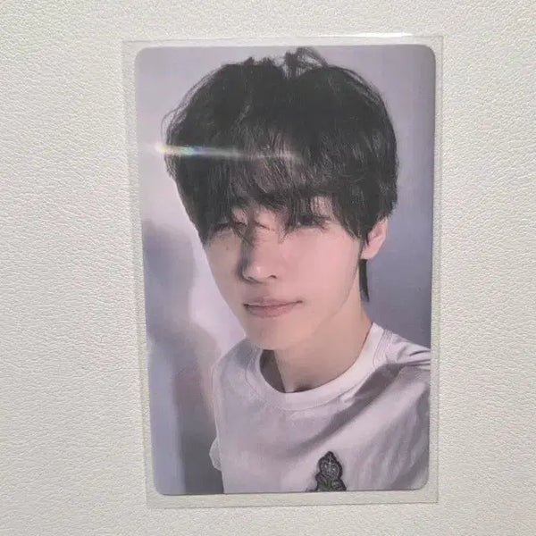[BUNJANG] Enhypen Sunghoon Romance Untold IsWith Photocard / 엔하이픈 성훈 로맨스언톨드 이즈위 포토카드 포카