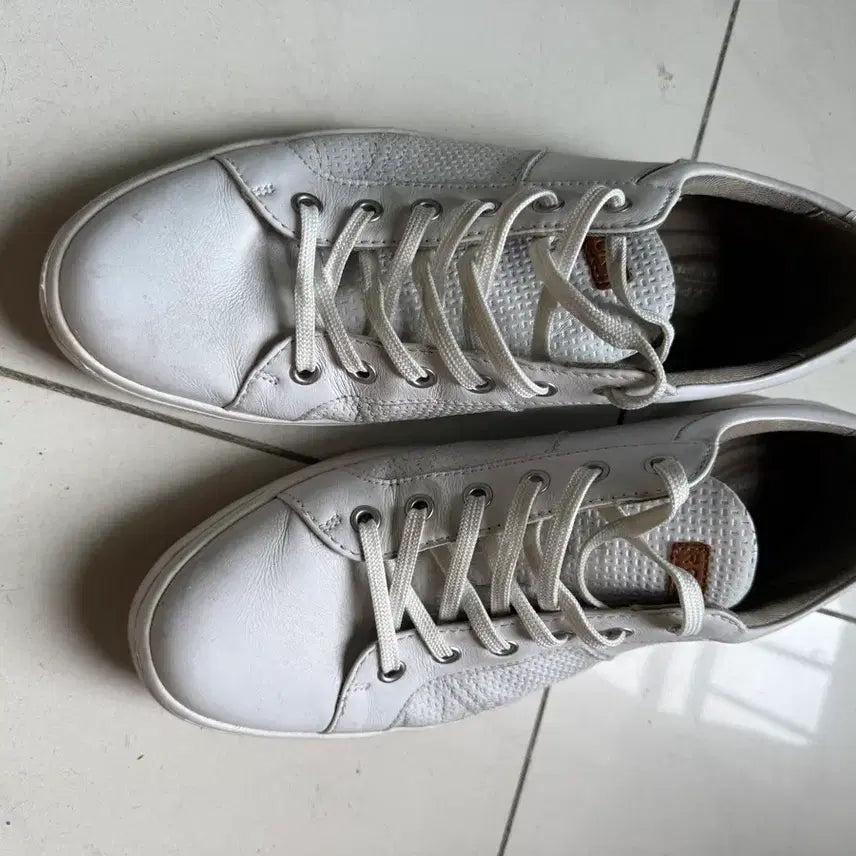 [BUNJANG] Rockport Men's Sneakers / [270] ROCKPORT 락포트 남성 스니커즈