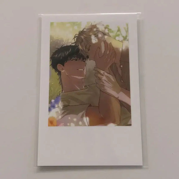 [BUNJANG] Passion Noctua Special POB Polaroid / 패션 passion 녹티아 특전 폴라로이드