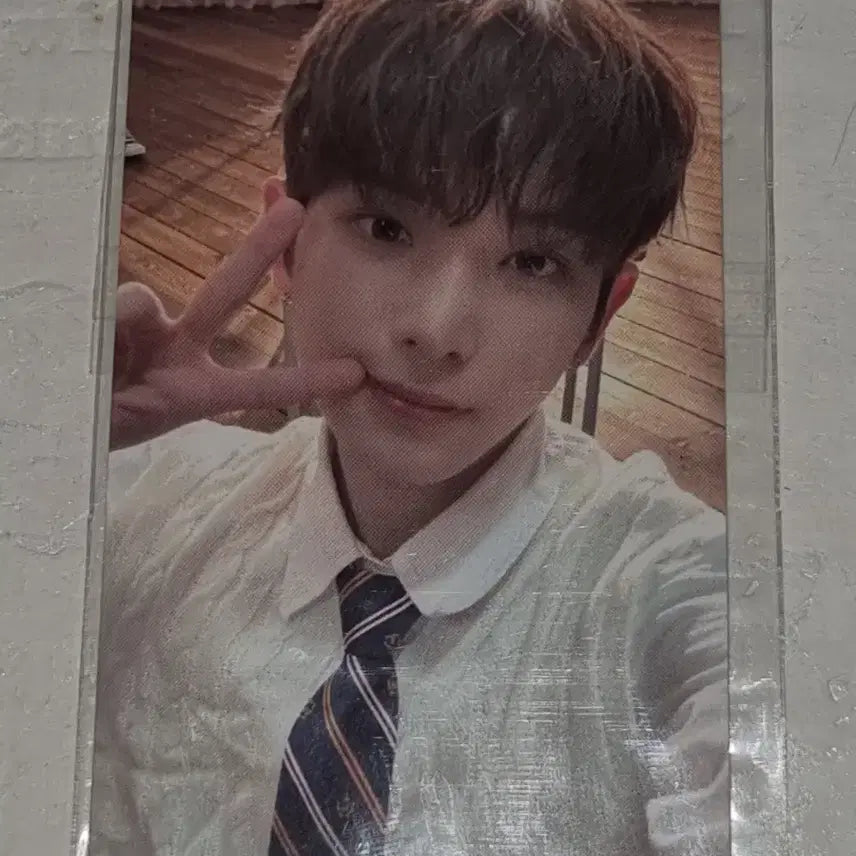 [BUNJANG] &TEAM Harua Samidare Photocard / 앤팀 하루아 사미다레 포카 양도 &team