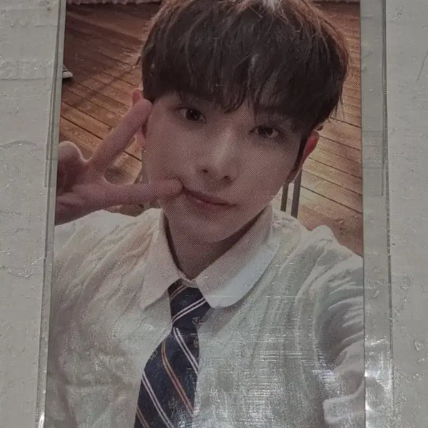 [BUNJANG] &TEAM Harua Samidare Photocard / 앤팀 하루아 사미다레 포카 양도 &team