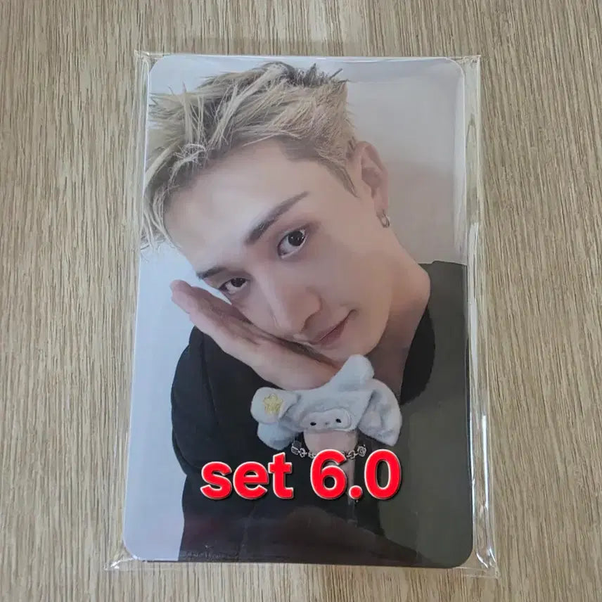[BUNJANG] Stray Kids (SKZ) Concert Entrance Photocard Set / 스키즈 콘서트 입장포카 세트 SKZ