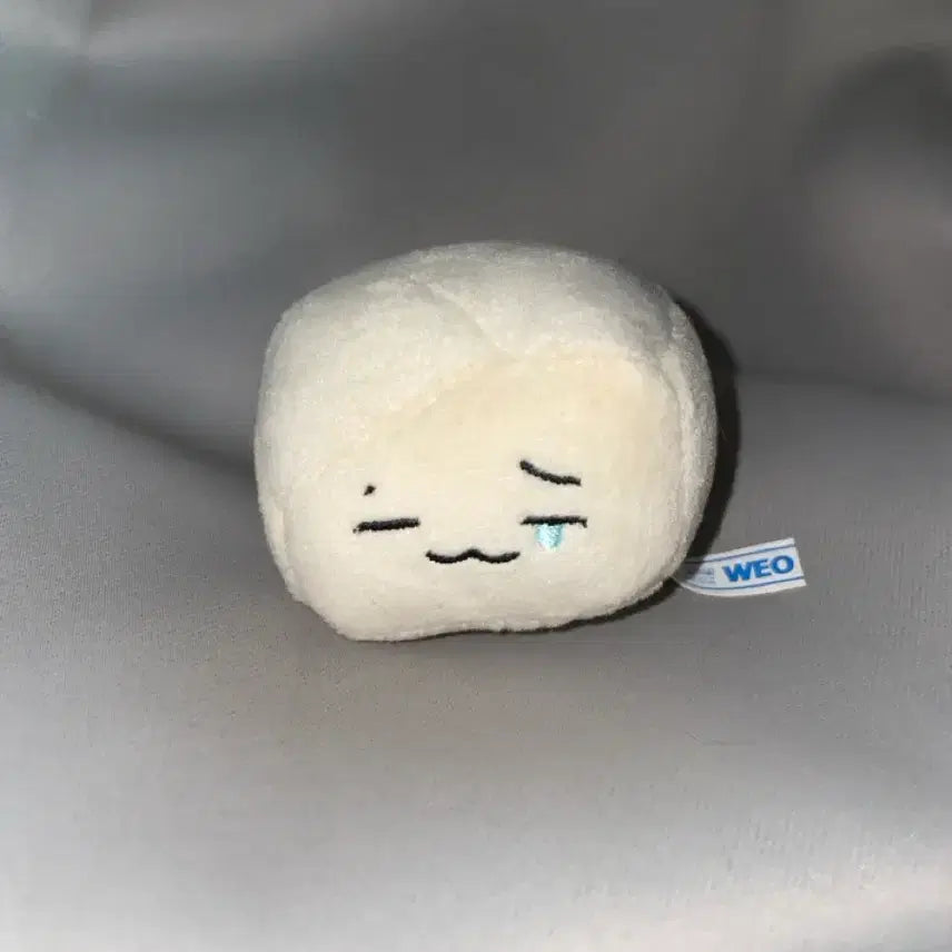 [BUNJANG] The Boyz Juyeon Plush Doll Jjubeu / 더보이즈 주연 인형 쭈부 양도