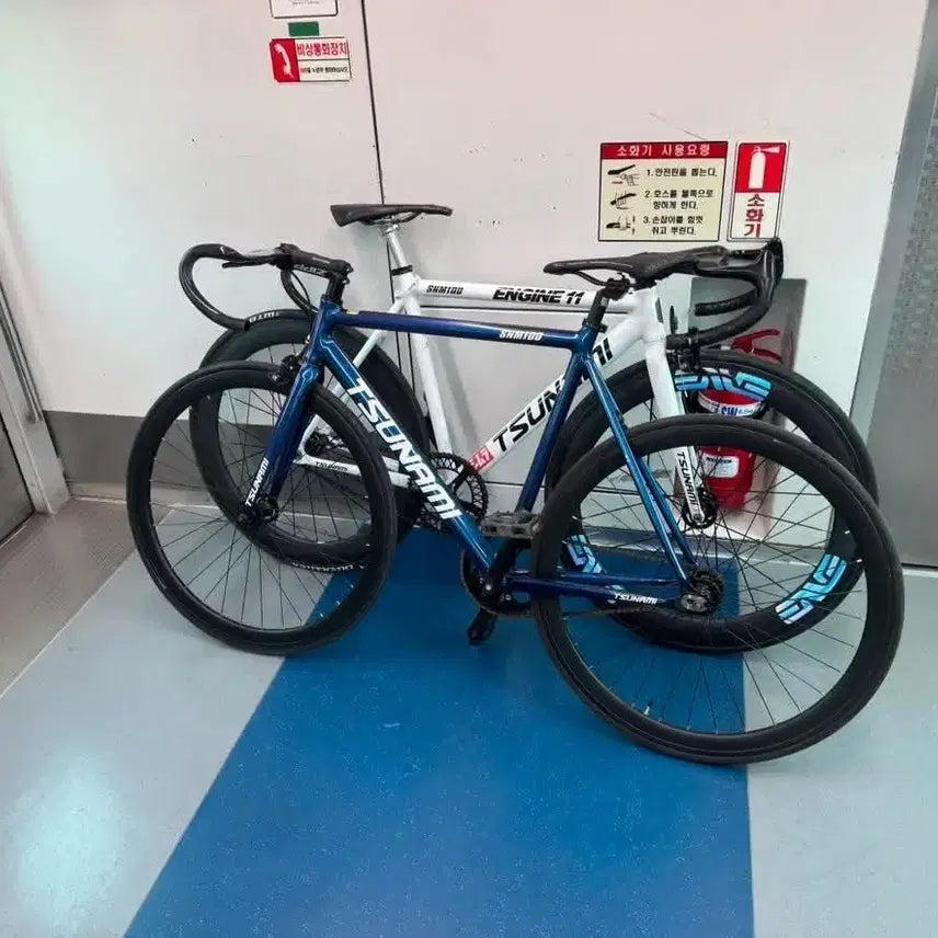 [BUNJANG] Tsunami SNM100 Chameleon Frame Road Bike / 쓰나미 snm100 카멜레온 판/대 개급처