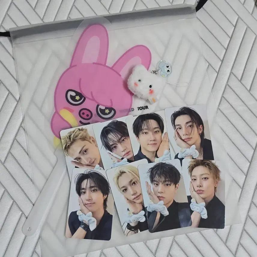 [BUNJANG] Stray Kids SKZOO Run It Concert Day 1 Lucky Draw Photocard OT8 & Skzoo Fan / 스키즈 런잇 콘서트 day1 입장기프트 포토카드 ot8  돼끼부채 지니렛인형