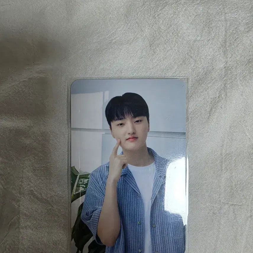 [BUNJANG] Daewoong Pharmaceutical x T1 Impact-Mune Photocard Phase / 대웅제약 임팩타뮨 티원 포토카드 페이즈