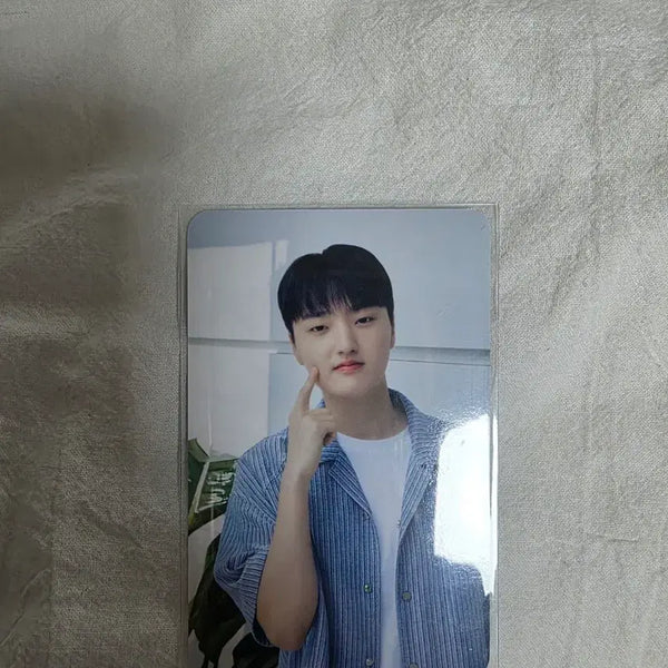 [BUNJANG] Daewoong Pharmaceutical x T1 Impact-Mune Photocard Phase / 대웅제약 임팩타뮨 티원 포토카드 페이즈
