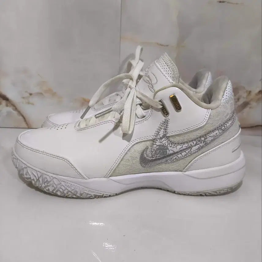 [BUNJANG] Nike LeBron Next Gen Basketball Shoes / 260mm 나이키 르브론 넥스트젠 농구화