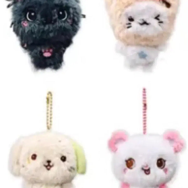 [BUNJANG] Kuri Pangyi Wishdoll Photocard Holder / 포켓 위시돌 쿠리 팡이