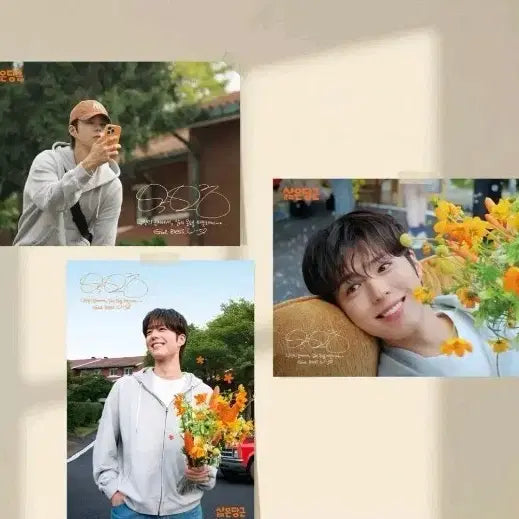 [BUNJANG] Park Bo Gum Carrot Poster / 박보검 당근 포스터