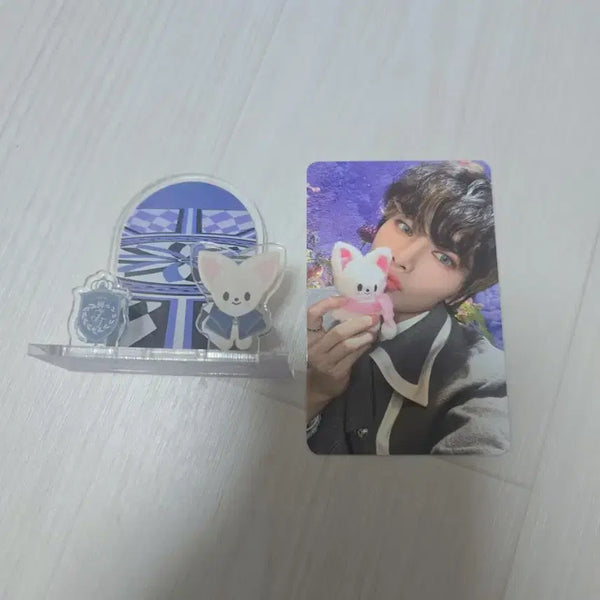 [BUNJANG] Stray Kids SKZ Magic School I.N Standee & Photocard / 스키즈 SKZ 매직스쿨 아이엔 스탠드&포카