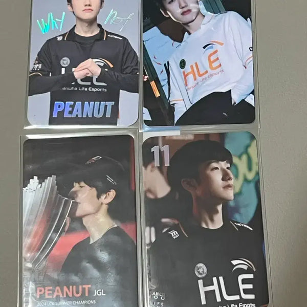 [BUNJANG] Peanut 2024 Bundle Set Photocards / 2024 피넛 포토카드 일괄