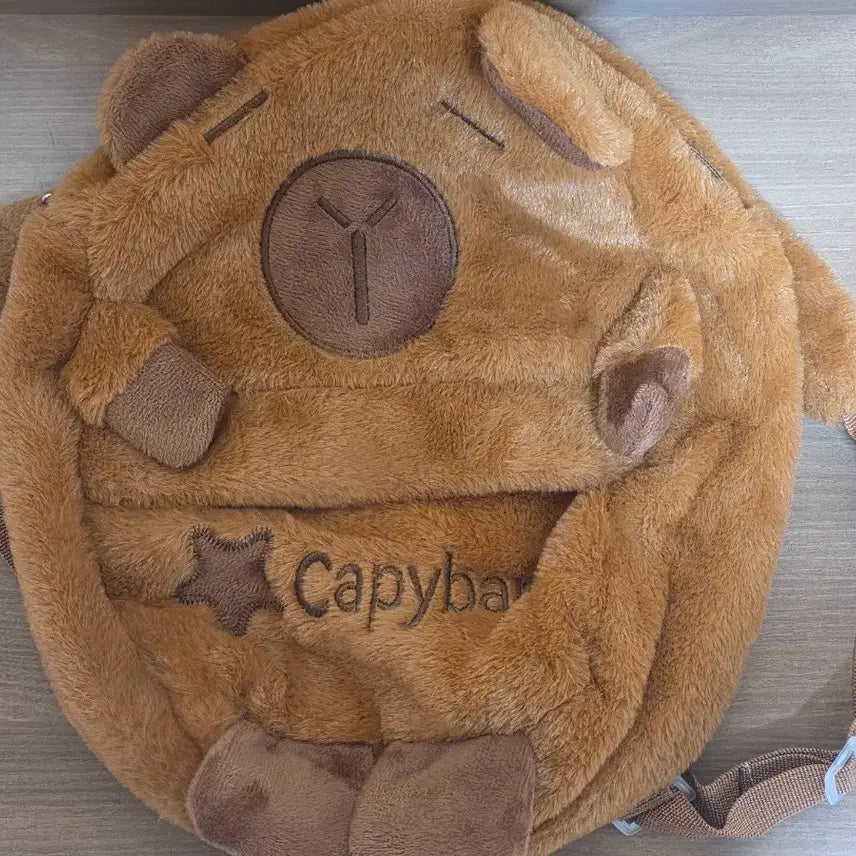 [BUNJANG] Capybara Backpack Bag / 카피바라 백팩 가방 판매합니다.