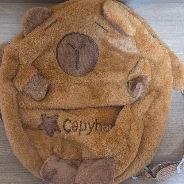 [BUNJANG] Capybara Backpack Bag / 카피바라 백팩 가방 판매합니다.