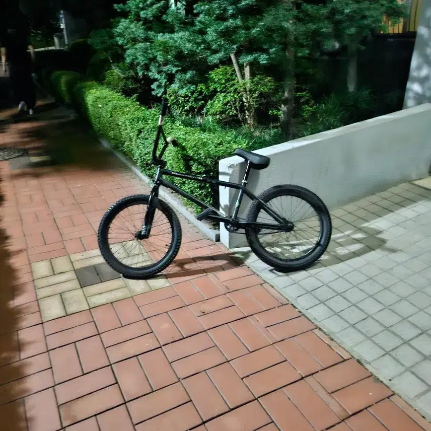 [BUNJANG] Subrosa Salvador BMX Bicycle / 서브로사 살바도르 bmx 판/대