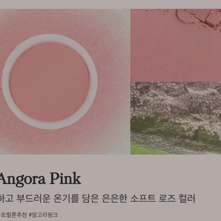 [BUNJANG] CLIO Angora Pink Blusher / 클라뷰 블러셔 앙고라핑크