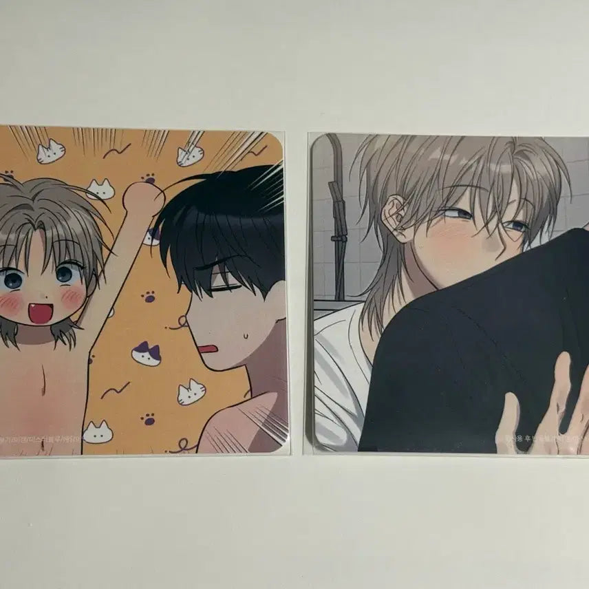 [BUNJANG] BSS Coaster Set / 사용후반품불가 사반불 비온 코스터 2장 일괄