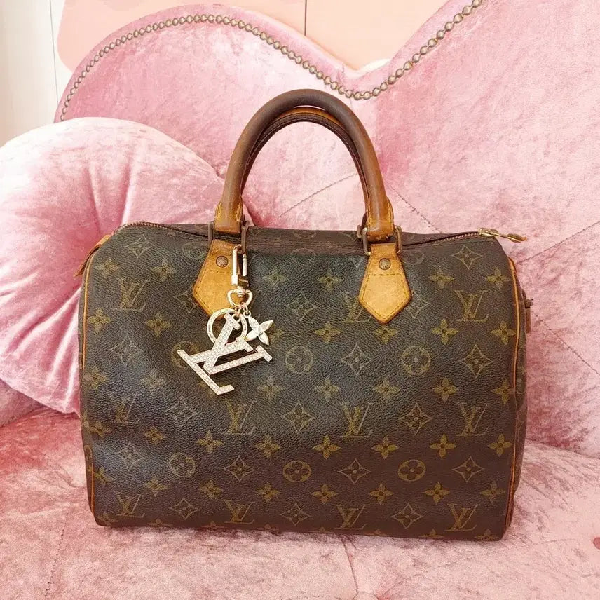 [BUNJANG] Louis Vuitton Speedy 30 Handbag / 정품- 루이비통 스피디 30