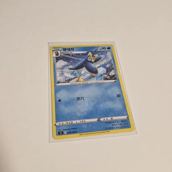 [BUNJANG] Pokemon Card Torkoal / 포켓몬 카드 팽태자