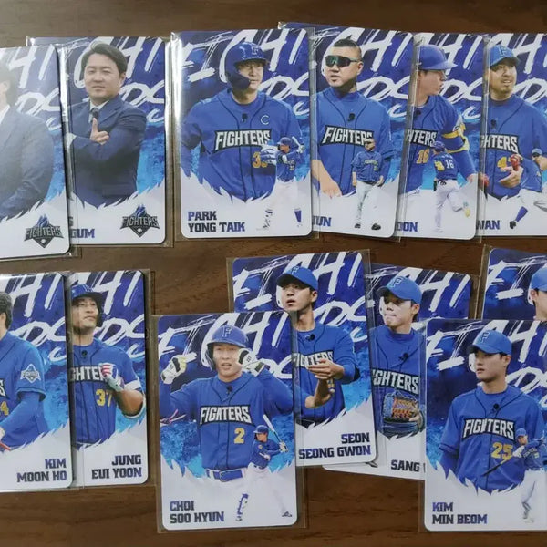 [BUNJANG] Baseball Season 1 Photocard Bundle Set (13 pcs) / 불꽃야구 시즌1 포토카드 13장 일괄 정리합니다 ^^