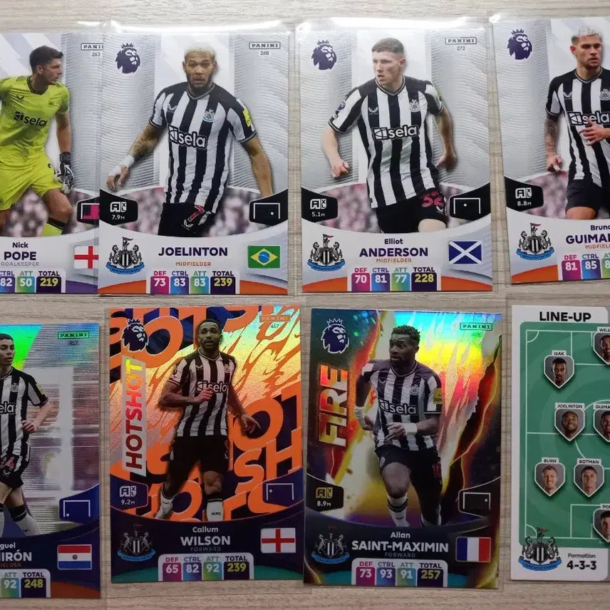 [BUNJANG] Panini Card Club Team Collection / 파니니 카드 클럽팀