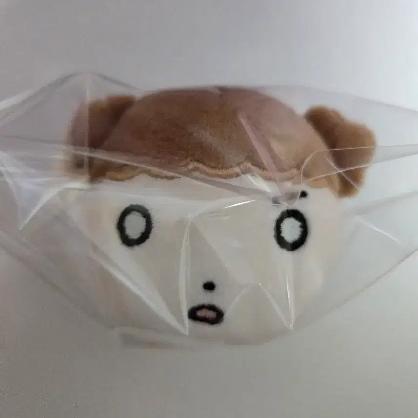 [BUNJANG] Maru is a Dog Glow-in-the-dark Maru Keychain Plush / [새상품]마루는강쥐 야광마루 키링 인형