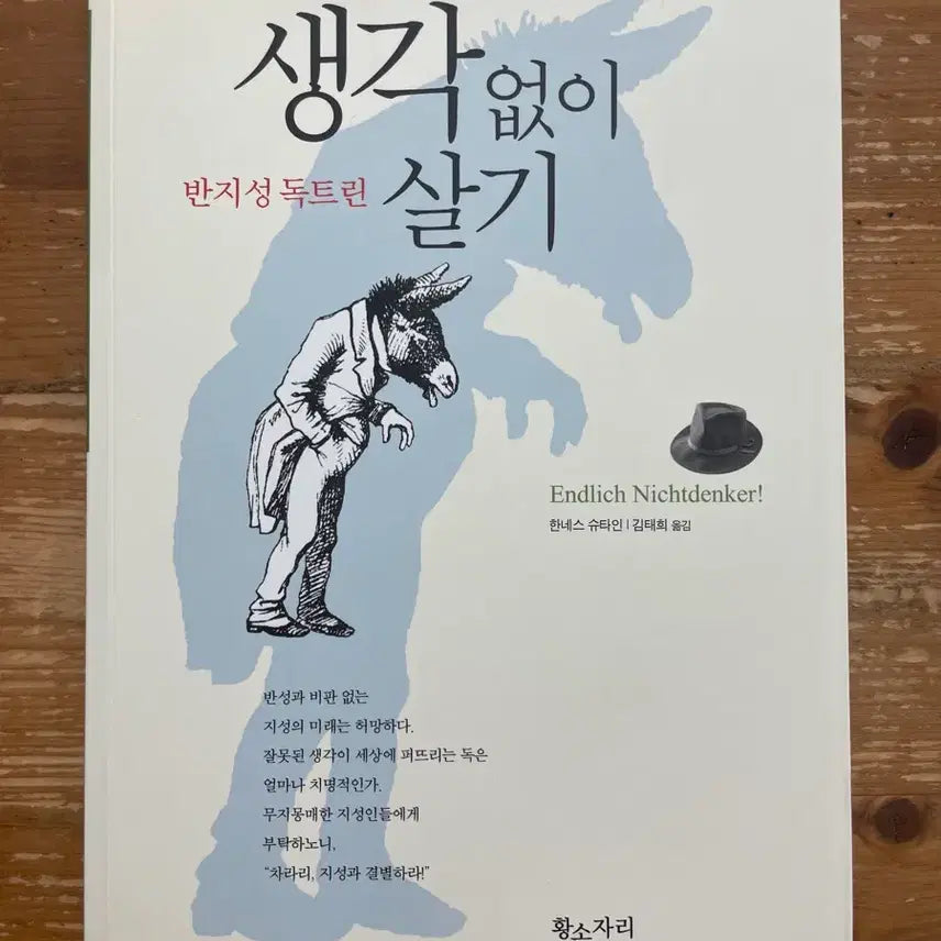 [BUNJANG] Thinking Without Thinking: The Anti-Intellectual Doctrine by Hannes Stein / 생각 없이 살기 : 반지성 독트린 - 한네스 슈타인
