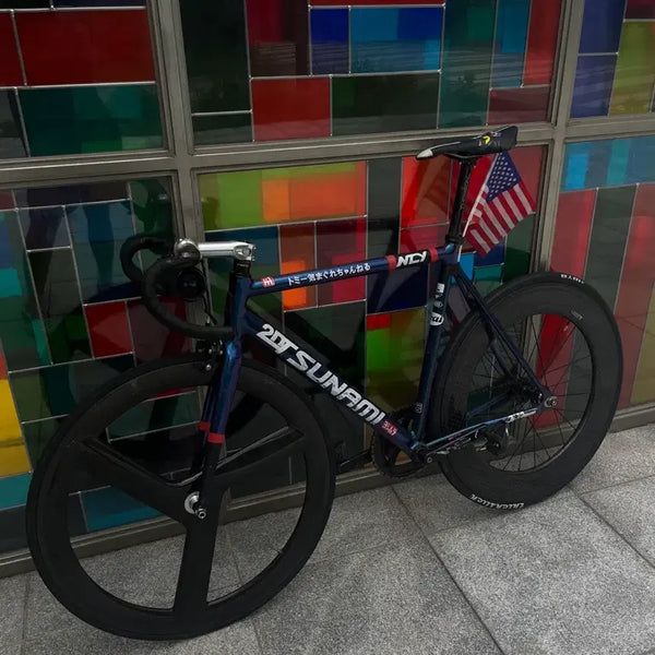 [BUNJANG] Tsunami SNM100 Chameleon L Frame Track Bike / 급처 쓰나미 snm100 카멜레온 판매/대차 (픽시 csc)
