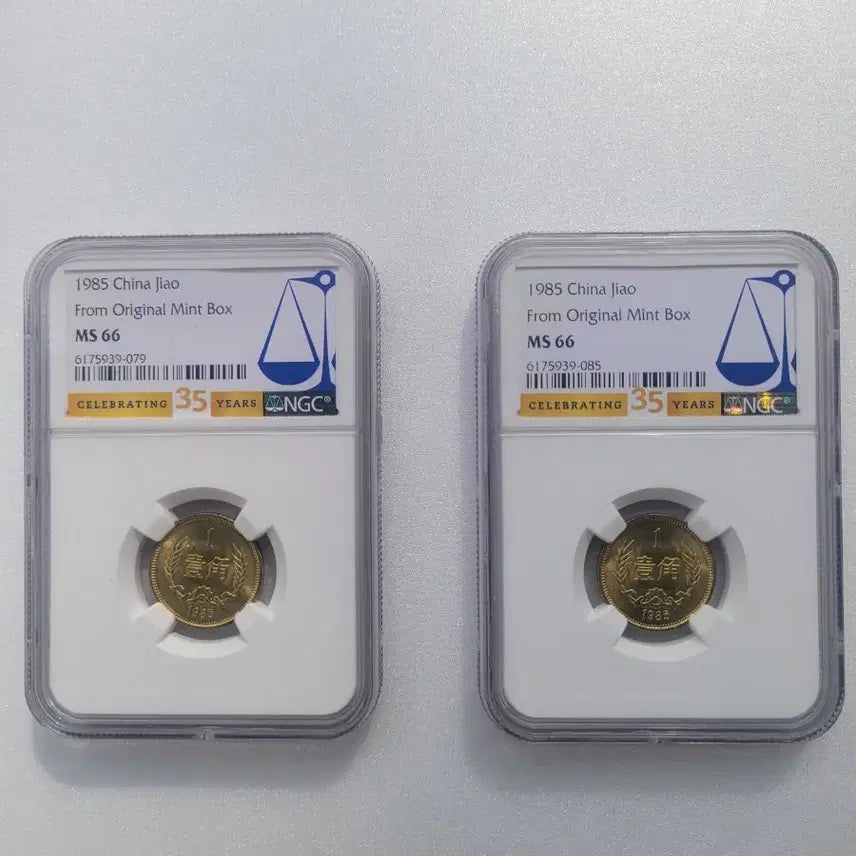 [BUNJANG] 1985 China 1 Jiao Coin Set NGC MS66 / 중국 1985년 1각 동전세트  NGC66