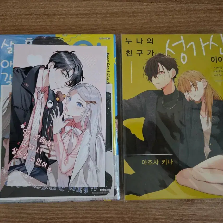 [BUNJANG] Yosuke Yamada Can't Live Alone by Himself? - Animate Pre-print Book Special Edition / 양선배는 혼자서 살아갈 수 없어 애니메이트 프박 누나의 친구가 성가신 이야기