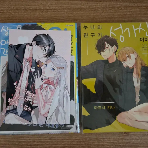 [BUNJANG] Yosuke Yamada Can't Live Alone by Himself? - Animate Pre-print Book Special Edition / 양선배는 혼자서 살아갈 수 없어 애니메이트 프박 누나의 친구가 성가신 이야기