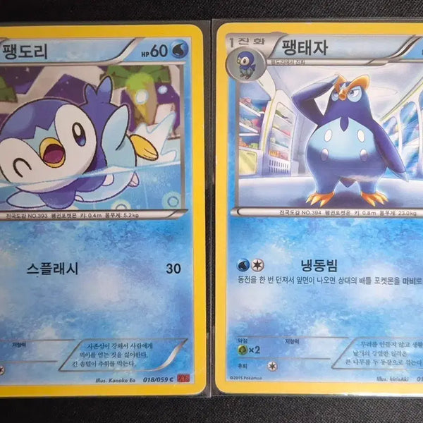 [BUNJANG] XY Series Pokémon Card Piplup Evolution Set / XY시리즈 포켓몬카드 팽도리 팽태자 진화세트