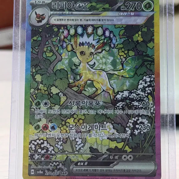 [BUNJANG] Pokemon Card Leafeon SAR / [급처]포켓몬카드 리피아 sar 판매/교환