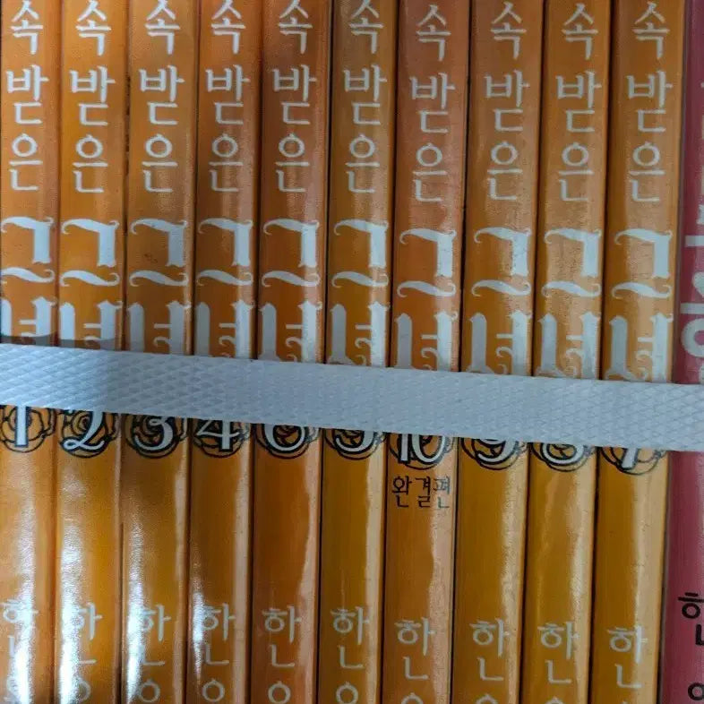 [BUNJANG] The Heiress - Complete 1-10 Volumes / 상속받은그녀1-10완