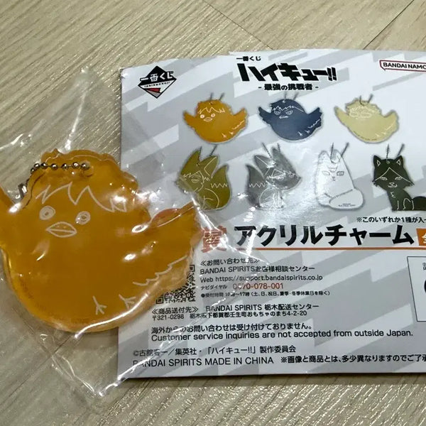 [BUNJANG] Haikyuu!! Kuji G Prize Hinata Hinagarasu Figure / 하이큐 쿠지 G상 히나타 히나가라스