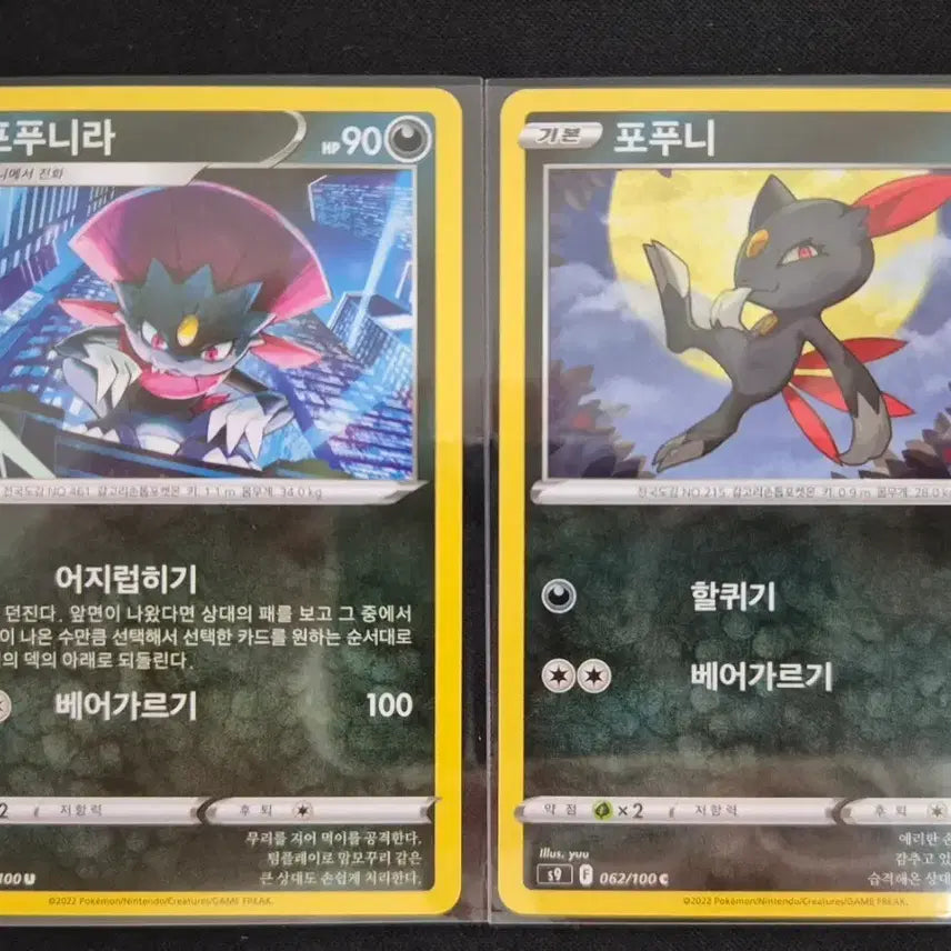 [BUNJANG] Popunira Evolution Set - 2 Types Pokemon Card / 포푸니라 포푸니 포켓몬 카드 2종 진화세트
