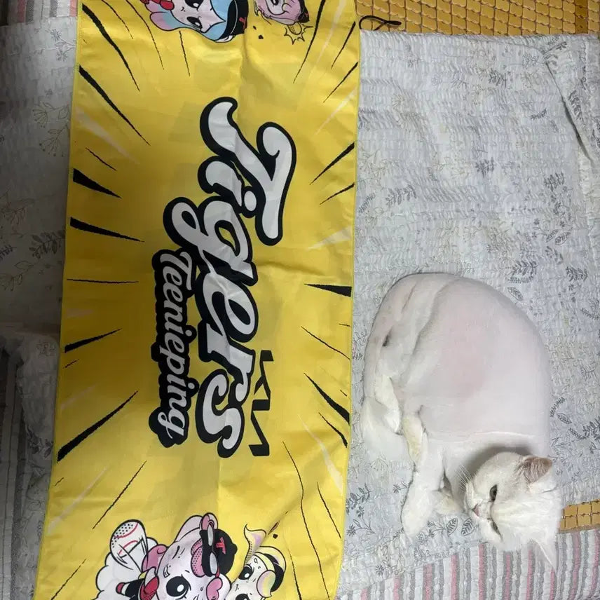 [BUNJANG] Kia Tinping Summer Towel with 2 Keyrings / 기아 티니핑 타올 판매