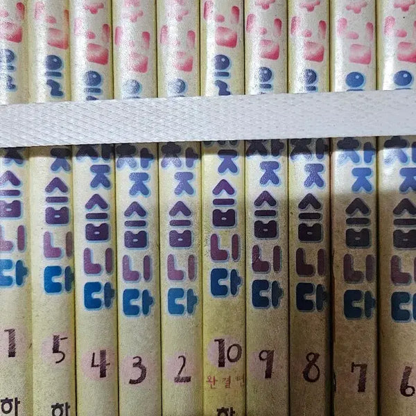 [BUNJANG] Princess, I'm Looking For You (Complete Set) / 공주님을찾습니다1-10완