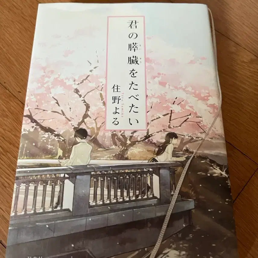 [BUNJANG] I Want to Eat Your Pancreas Japanese Edition / 너의췌장을먹고싶어