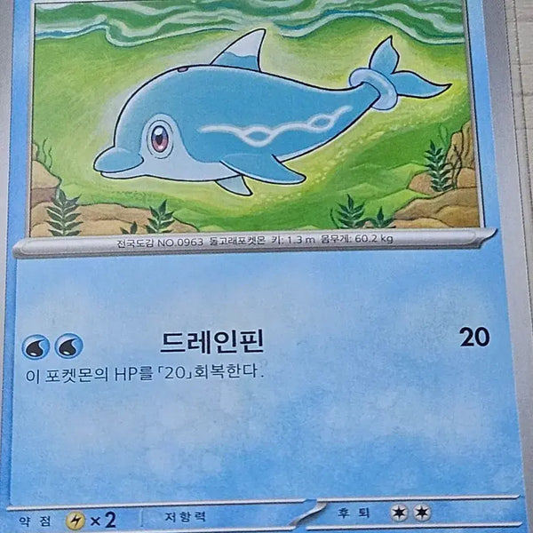 [BUNJANG] Pokemon Card Mandolphin / 포켓몬 카드 맨돌핀