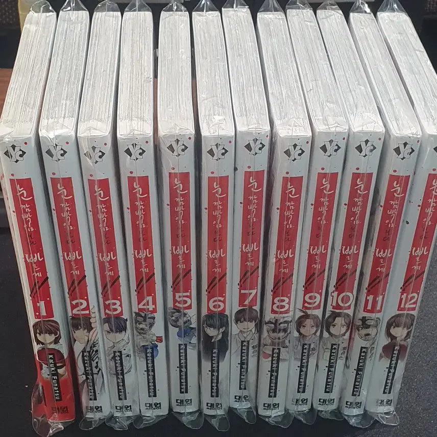 [BUNJANG] Nunkkambakimboda Ppareuge (Complete Series) Volumes 1-12 (Sealed) / 눈 깜빡임보다 빠르게 1-12 (완) 미개봉