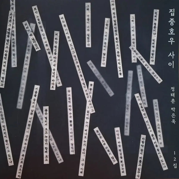 [BUNJANG] Jeong Tae Chun Park Eun Ok 12th Album 'Between Heavy Rains' Limited Edition Signed LP / 친필싸인반/정태춘 박은옥 12집 한정판-집중호우 사이 LP
