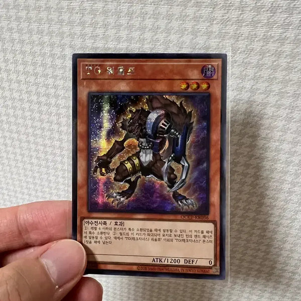 [BUNJANG] Tg Warwolf Chic Photocard / Tg워울프 시크