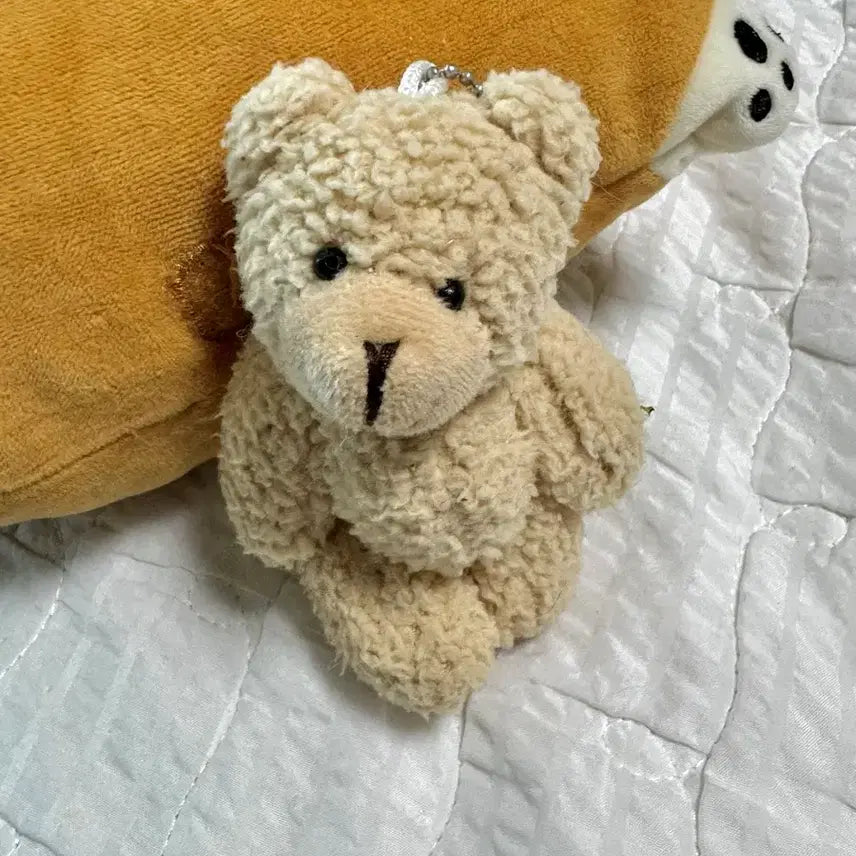 [BUNJANG] Adorable Bear Charm Keychain / 갸우뚱 곰돌이 키링