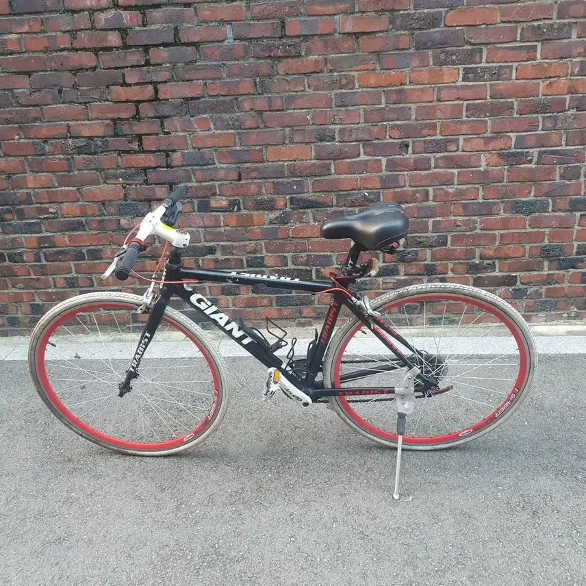 [BUNJANG] Giant Bicycle / 자이언트 자전거