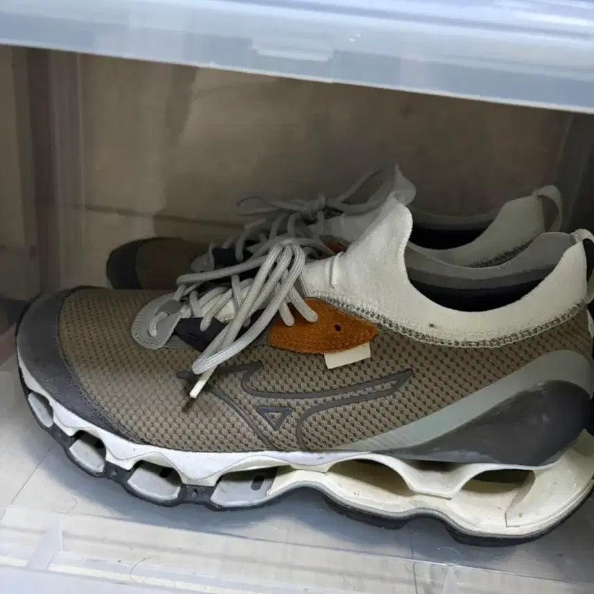 [BUNJANG] Mizuno Wave Prophecy Shutter 260 Shoes / 미즈노 웨이브 프로페시 셔터 260