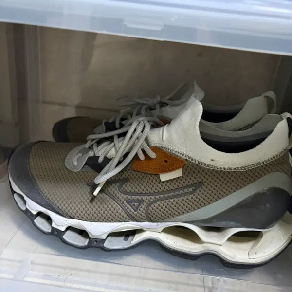 [BUNJANG] Mizuno Wave Prophecy Shutter 260 Shoes / 미즈노 웨이브 프로페시 셔터 260