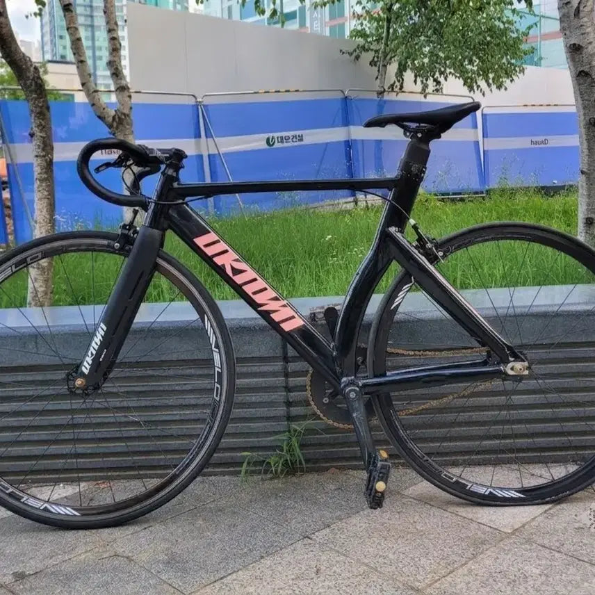 [BUNJANG] Unknown LV3 Pixie Aggro XX Fixie Bike / 언노운 lv3 픽시 어그로xx