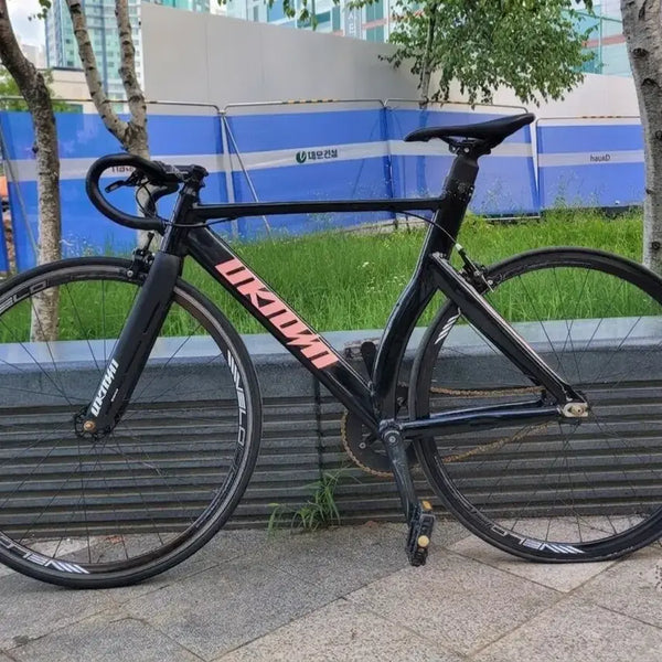 [BUNJANG] Unknown LV3 Pixie Aggro XX Fixie Bike / 언노운 lv3 픽시 어그로xx